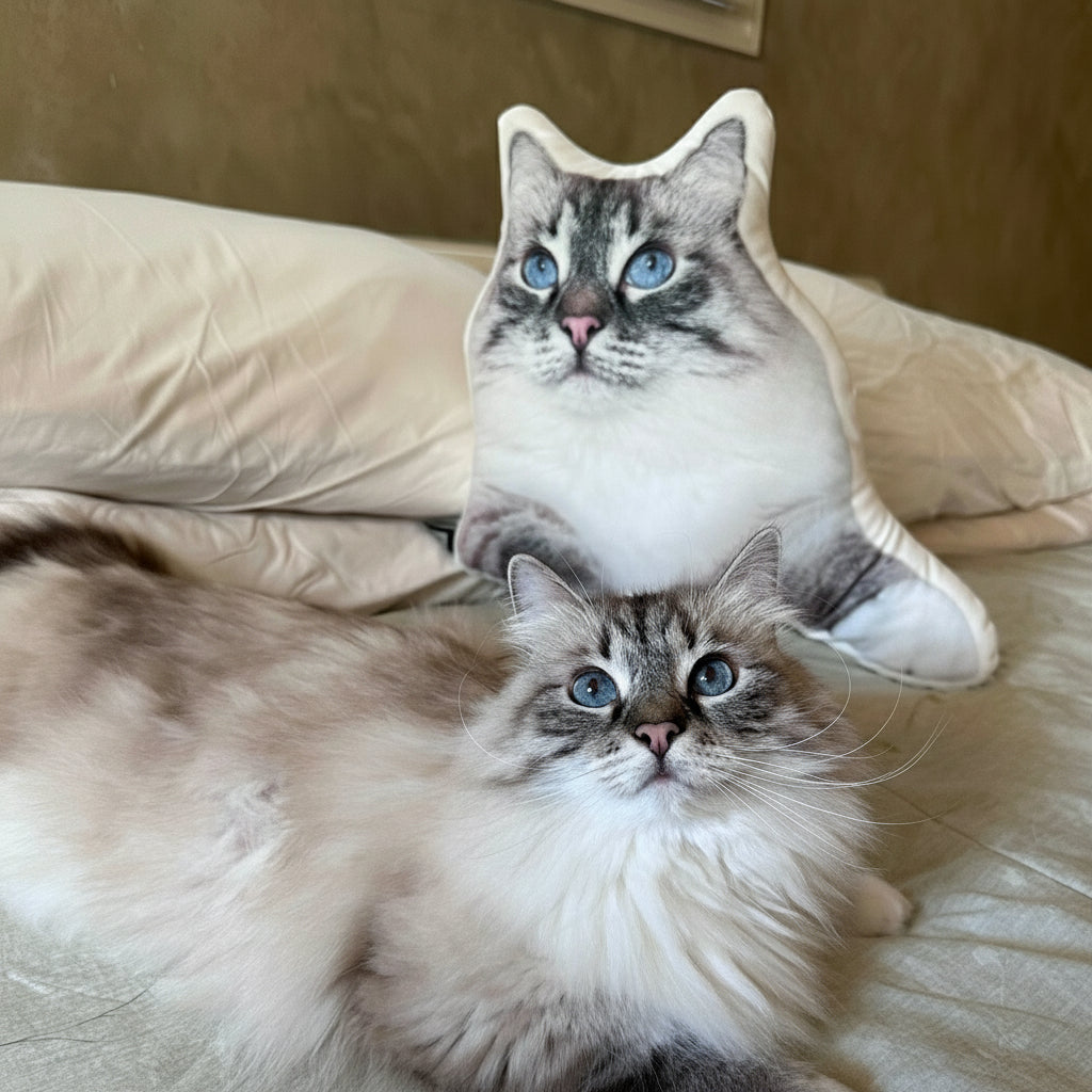 Custom Shaped Cat Pillow