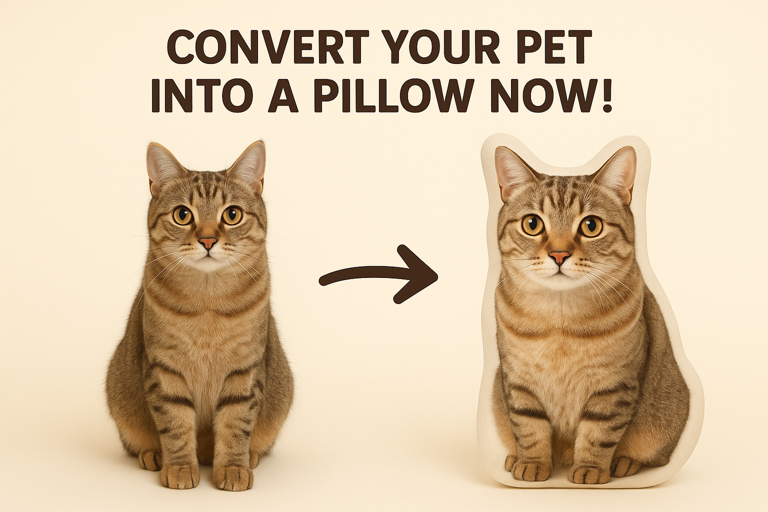 generate color image with light and creamy colors with similiar hex code to #F8EFD9 of a cat on one side and then a pillow version of that cat on the other side with an arrow in between suggesting turning their pet into pet pillows with a text at the top centre saying CONVERT YOUR PET INTO A PILLOW NOW!